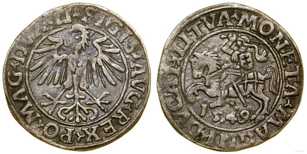 Polska, półgrosz, 1549