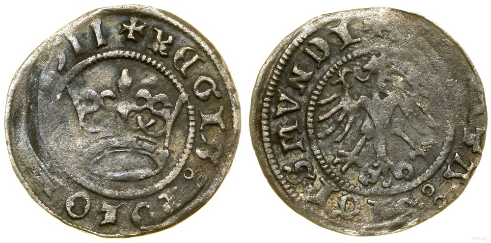 Polska, półgrosz, 1511