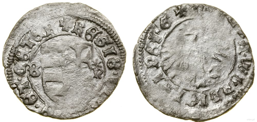 Polska, denar, (ok. 1444)