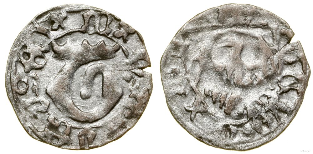 Śląsk, halerz, (1498–1505 lub dłużej, najpóźniej 1511)