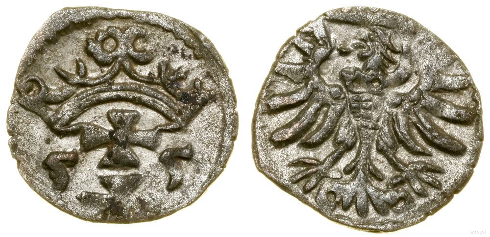 Polska, denar, 1555