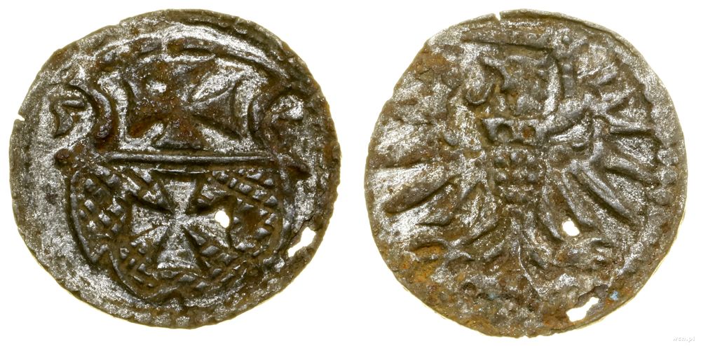 Polska, denar, 1555