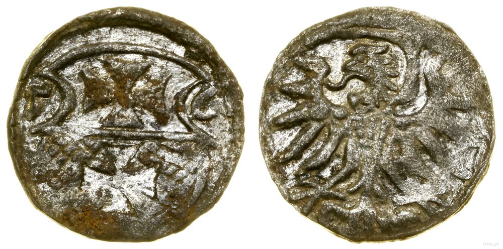 Polska, denar, 1556