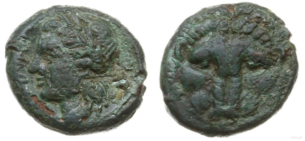Grecja i posthellenistyczne, brąz, 350-270 pne