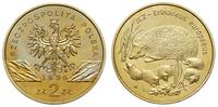 2 złote 1996, Warszawa, Jeż, nordic gold, piękny