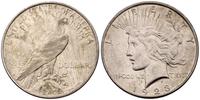 1 dolar 1923/D, Denver