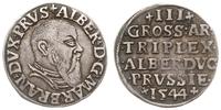 trojak 1544, Królewiec, Iger Pr.44.1.a (R), Bahr