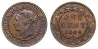 1 cent 1882/H, rzadki, KM 7