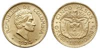 5 peso 1924, Medellin, złoto 7.98 g, Fr. 115