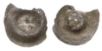 brakteat 1. ćwierć XIV w., Koło z widoczną piast