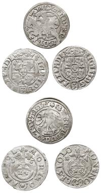 zestaw 3 monet, Aleksander Jagiellończyk, półgro