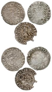 zestaw szelągów, szelągi: 1547 Gdańsk, 1533 Elbl