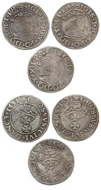 zestaw 3 x grosz, Gdańsk, 2 x 1531 i 1 x 1534, r