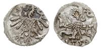 denar 1559, Wilno, ładny, Ivanauskas 2SA19-8, T.