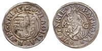 denar 1512/K-G, Kremnica, Aw: Tarcza herbowa i n