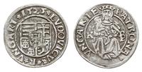 denar 1525/K-B, Kremnica, Aw: Tarcza herbowa i n