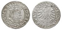 Polska, grosz, 1531