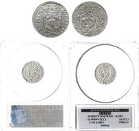 półtorak 1620, Ryga, rzadki, moneta w pudełku CG