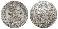 szóstak 1599, Malbork, odmiana z dużą głową król