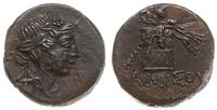 AE-21 85-65 pne, Aw: Głowa Dionizosa w prawo, na