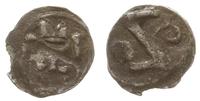 denar XIV-XV w., Aw: Głowa na wprost, Rw: Odbici
