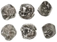 3 x denar XIV-XV w., 1 x Maszewo, 1 x Pozdawik i
