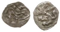 denar XIV-XV w., Aw: Trzy fale, Rw: Gryf krocząc