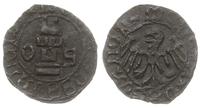Śląsk, halerz, ok. 1445-1453