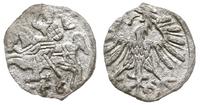denar 1556, Wilno, Ivanauskas 2SA15-6, T.5