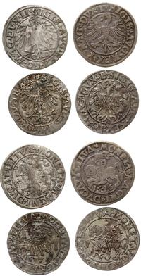 Polska, zestaw: 4 x półgrosz litewski, 1546, 1548, 1557, 1560