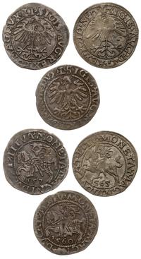 Polska, zestaw: 3 x półgrosz litewski, 1557, 1560, 1565
