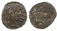 denar 1556, Elbląg, Gum.H. 654, Kop. 7100 (R3), 
