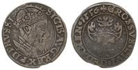 grosz 1556, Gdańsk, odmiana z większą głową król