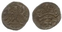 denar 1557, Gdańsk, odmiana z ozdobną koroną, ba