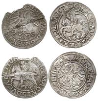 Polska, 2 x półgrosz, 1545 i 1564