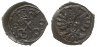Polska, denar, 1603