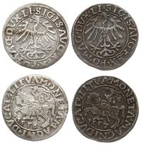 Polska, zestaw 2 półgroszy litewskich, 1556, 1557
