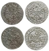 Polska, zestaw 2 półgroszy litewskich, 1560, 1564