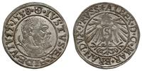 grosz 1538, Królewiec, ładny, Slg. Marienburg 11