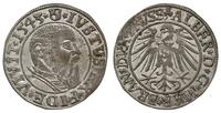 grosz 1543, Królewiec, ładny, Slg. Marienburg 11
