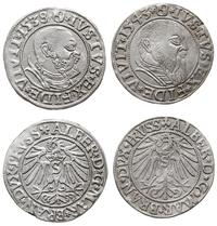 2 x grosz 1538 i 1543, Królewiec, łącznie dwie s