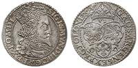 szóstak 1599, Malbork, duża głowa króla, bardzo 
