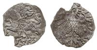 denar 1563, Wilno, rzadki, Ivanauskas 2SA22-9, T
