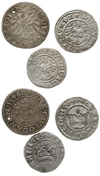 lot 3 sztuk monet, 1. szeląg 1546, Gdańsk, 2. pó