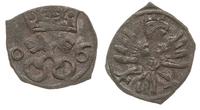 denar 1606, Poznań, Kop. 7957 (R5), Tyszkiewicz 
