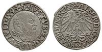 Prusy Książęce 1525-1657, grosz, 1544