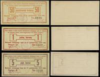 Galicja, zestaw: 50 halerzy, 1 i 5 koron, ważne do 31.10.1919