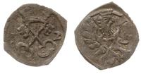denar 1612, Poznań, data 1-2, rzadki, patyna, Ty