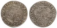 grosz litewski 1555, Wilno, patyna, Kop. 3294 (R