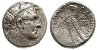 tetradrachma 37-36 pne, Aleksandria, Aw: Głowa P